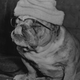 Bulldogs, on the other hand, have faces perfectly designed for glasses. (Photo: Fox Photos/Getty Images)
